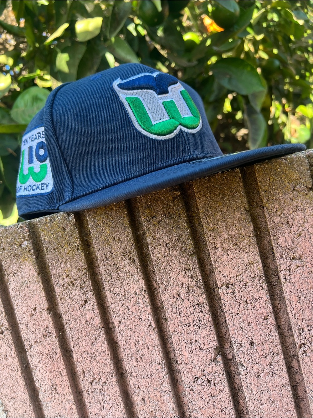 HARTFORD WHALERS SNAPBACK HAT